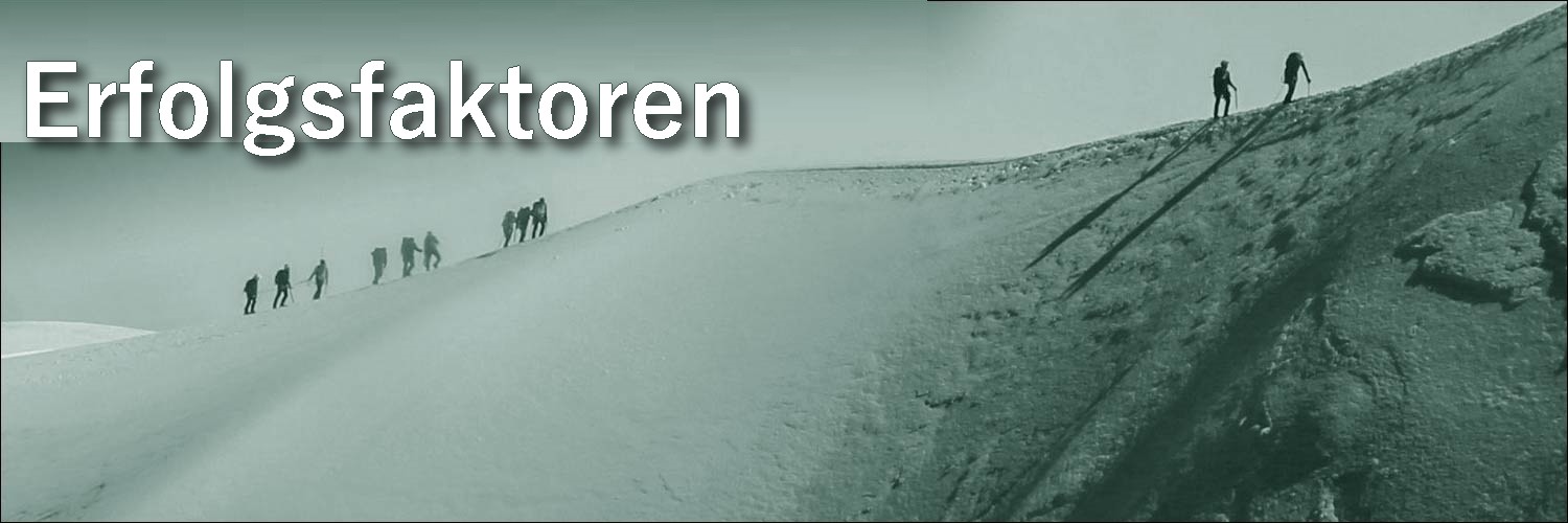 nikolaus behr erfolgsfaktoren